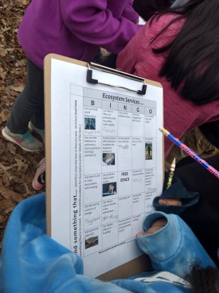 Introduction to Ecosystem Services Kids Field Bingo Checklist